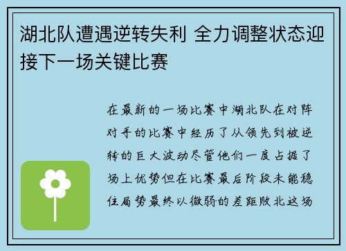 湖北队遭遇逆转失利 全力调整状态迎接下一场关键比赛