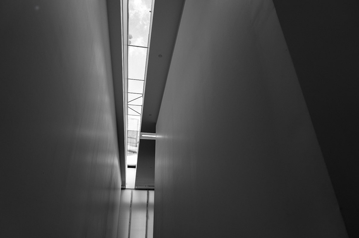 jinnianhui-荷兰队在比赛中展现出强劲实力，荷兰队伍